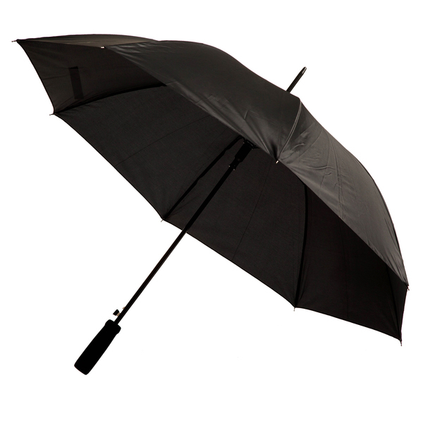 Winterthur umbrella, black photo