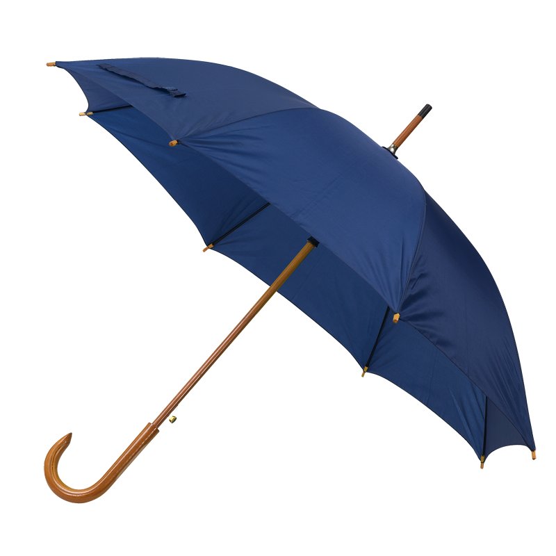 Martigny auto open umbrella, blue photo