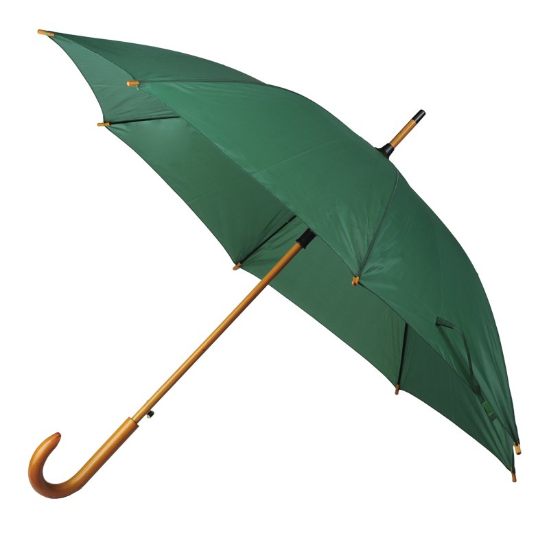 Martigny auto open umbrella, green photo